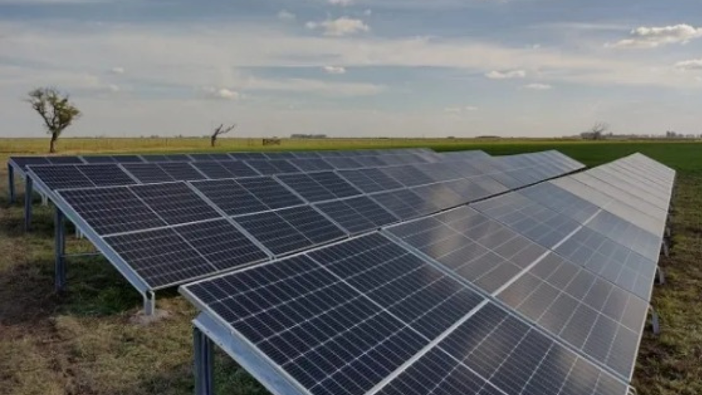 solar panels in a field
